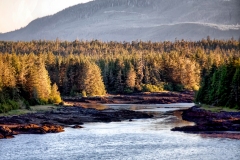 AlaskanWilderness1
