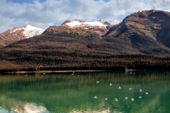 AlaskanWilderness4