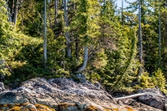 AlaskanWilderness5