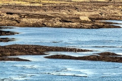 AlaskanWilderness7